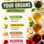 5 Herbal Teas That Naturally Support Healthy Organs