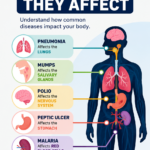 Diseases and the Organs They Affect  Human Body Health Facts Guide