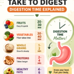 How Long Foods Take to Digest Digestion Times for Common Foods Explained
