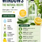 Eco-Friendly Window Cleaning Hack for Sparkling Streak-Free Glass