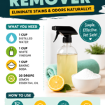 DIY Pet Urine Stain Remover Recipe That Eliminates Odors Naturally Fast